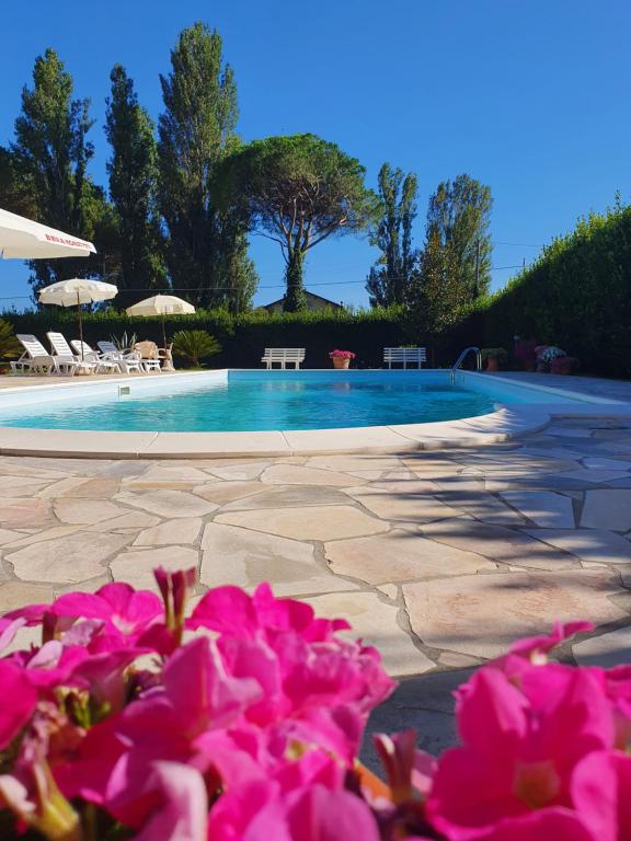 a swimming pool with pink flowers in front of it at La Taverna in Mesola