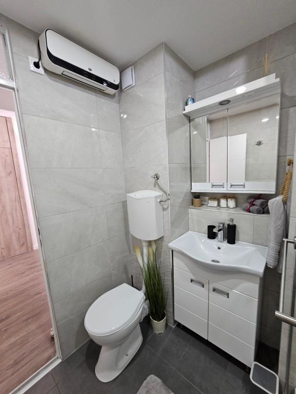 Koupelna v ubytování Apartman Aleksandra u strogom centru grada