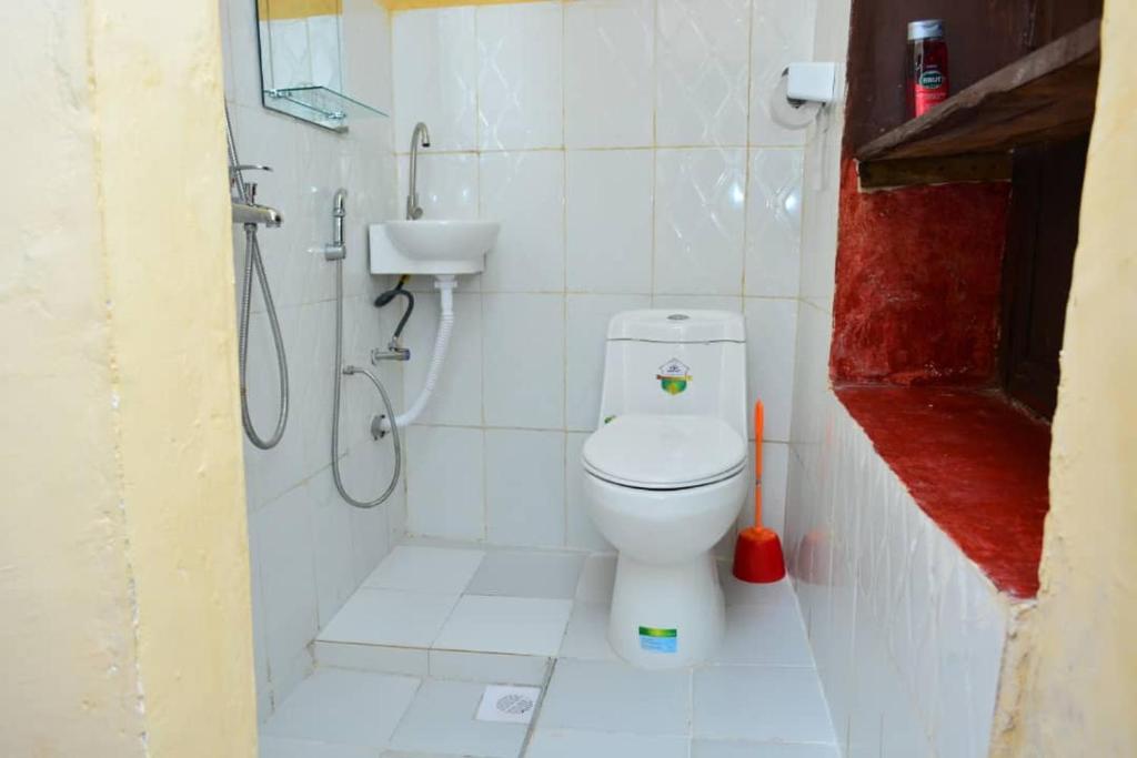 een kleine badkamer met een toilet en een douche bij SAFARI in Stone Town