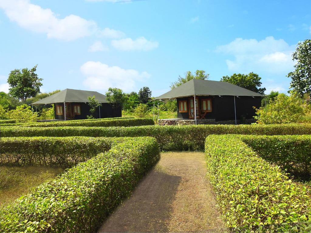 a hedge maze with a house in the background at Thour Nature Resort - Jawai Leopard Safari Camp in Bera