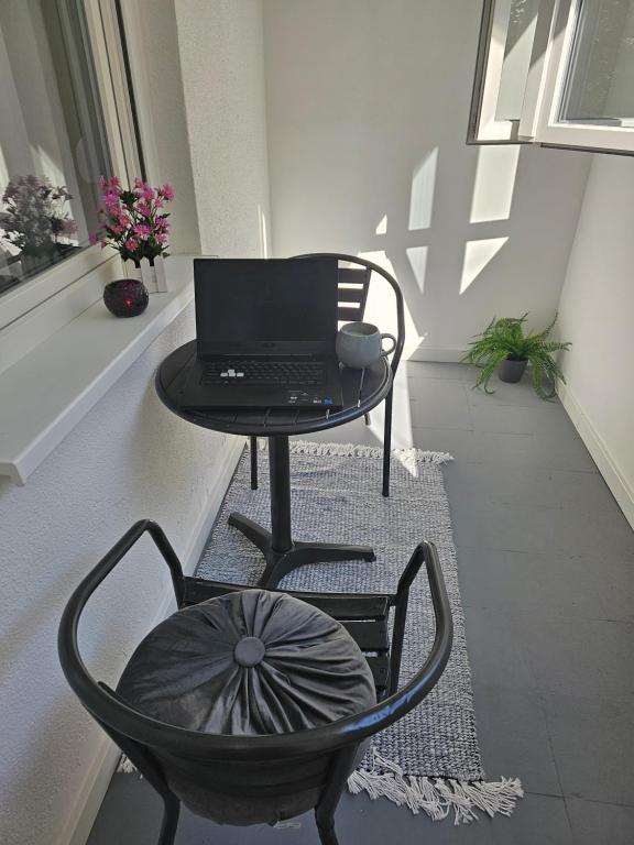 Fotografie z fotogalerie ubytování Apartman Aleksandra u strogom centru grada v destinaci Bačka Topola