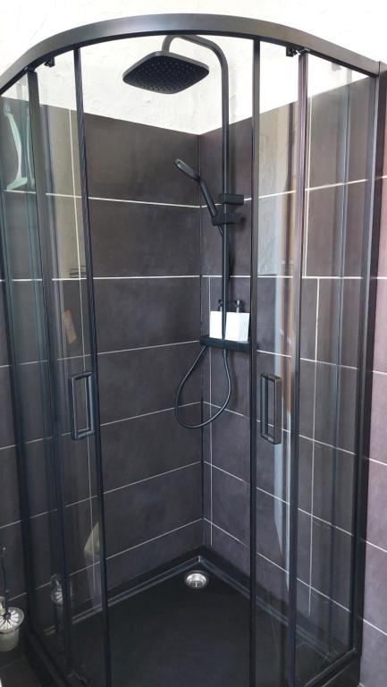 a shower with a glass door in a bathroom at Obszerne mieszkanie w centrum uzdrowiska z garażem in Świeradów-Zdrój