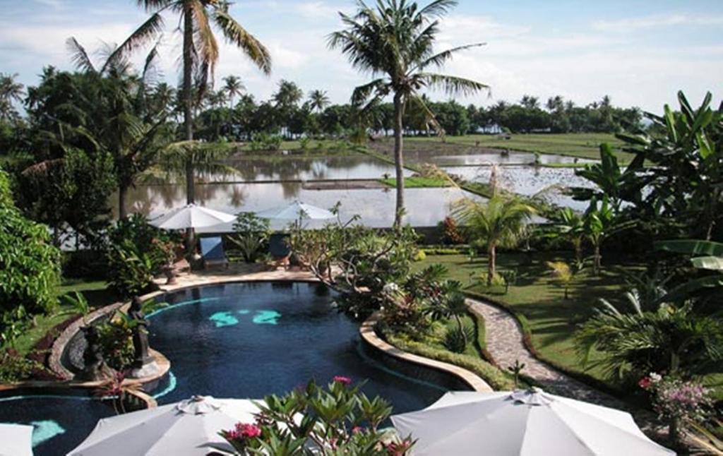 una piscina del resort con ombrelloni e laghetto di Sawah Lovina a Lovina