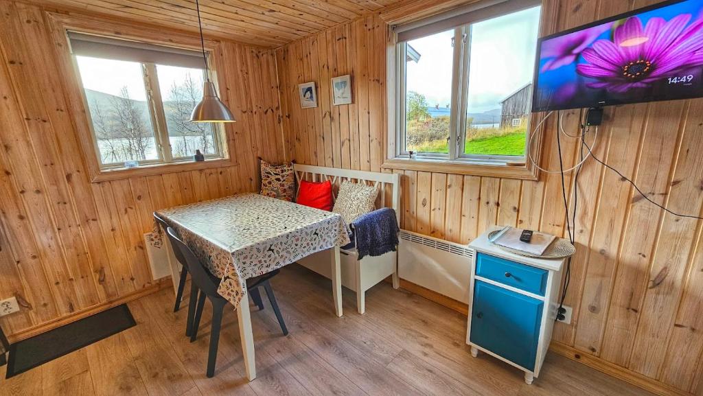 Телевизор и/или развлекательный центр в Fjâllnäs Camping & Lodges