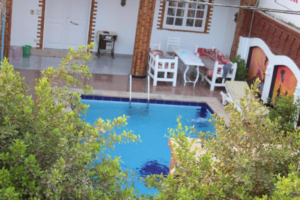 a swimming pool in the backyard of a house at Mama Africa Apts & Studios in Luxor