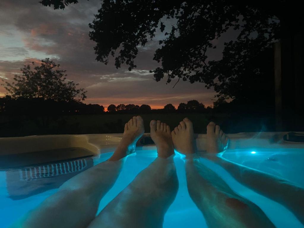 Bazén v ubytování Wellnesslodge Merel nebo v jeho okolí