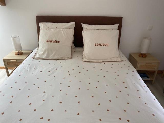 a bed with two pillows on top of it at Bienvenue au Gite La So Sweet in Rully