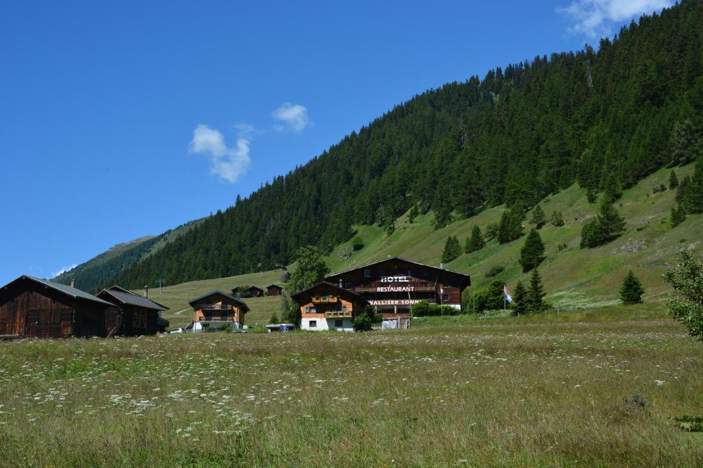 eine Gruppe von Gebäuden auf einem Feld neben einem Berg in der Unterkunft Hotel Restaurant Walliser Sonne in Reckingen - Gluringen