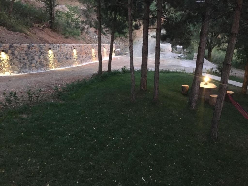 Příroda nedaleko apartmánu