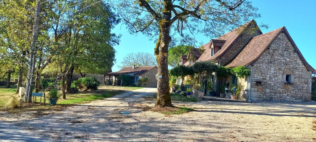 une vieille maison en pierre avec un arbre en face de celle-ci dans l&#39;établissement La Petite Grange, à Saint-Martin-Labouval