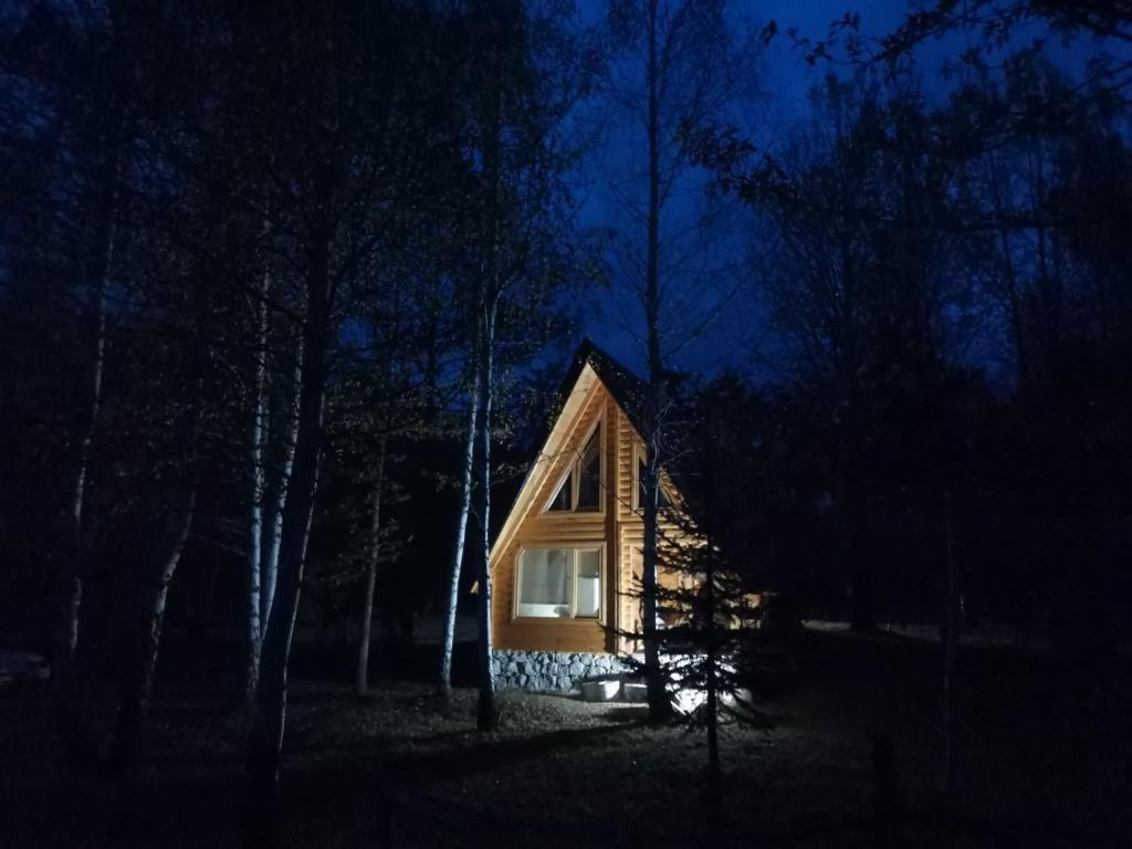 eine kleine Holzhütte im Wald in der Nacht in der Unterkunft Forest Rhapsody Brezna in Plužine