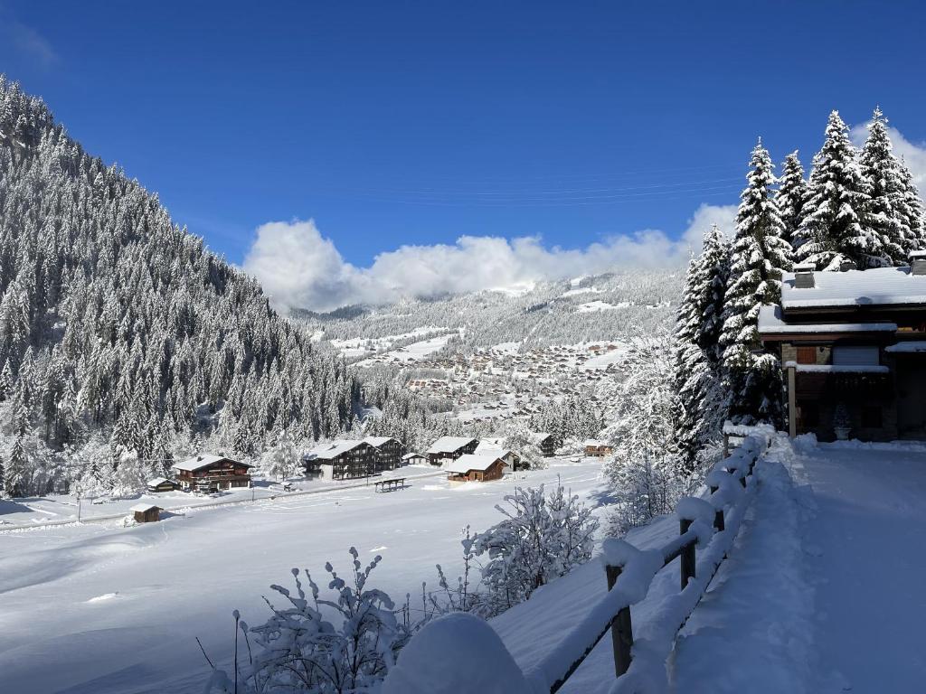 Appartement T3 Chatel v zimě
