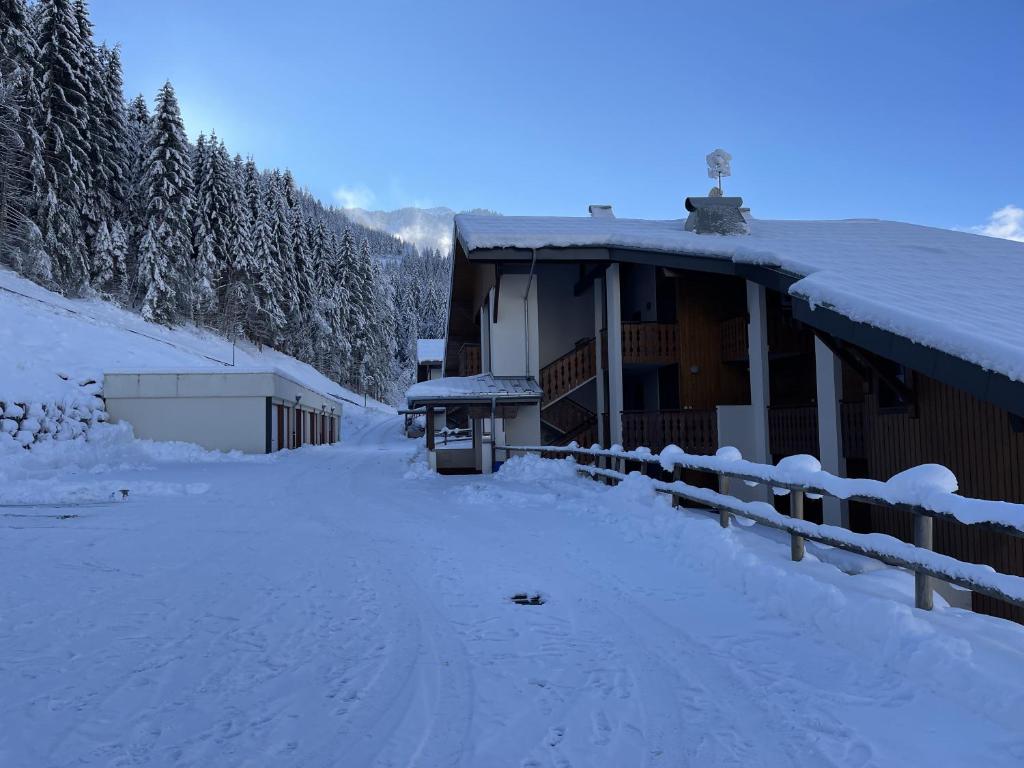 Appartement T3 Chatel v zimě