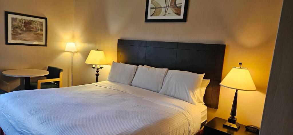 Postel nebo postele na pokoji v ubytování Bellis Inn