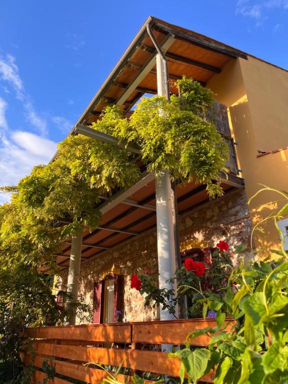 B&B La Fucinaia Pet Friendly Adults only - King Room