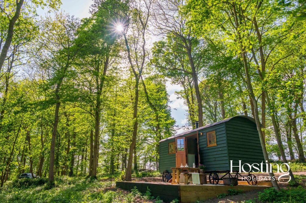 a green tiny house sitting in the woods at Red Kite Retreat - Bluebell - Shepherds Hut 1 in Henley on Thames
