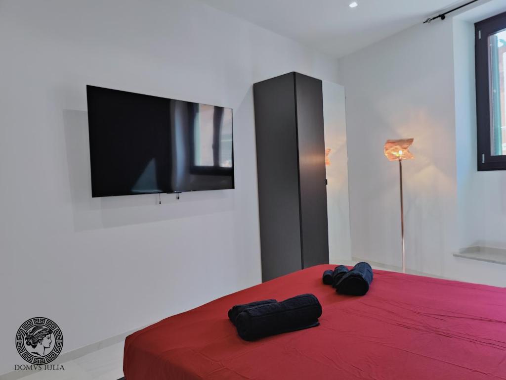 Domus Iulia - Colosseo - 16