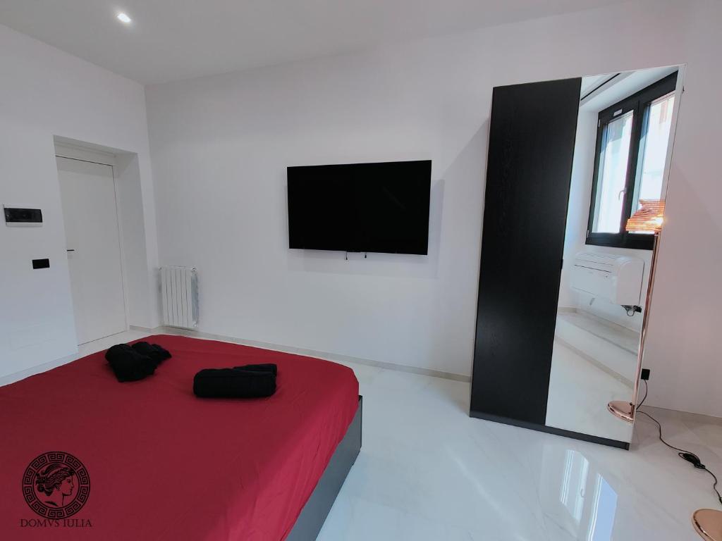 Domus Iulia - Colosseo - 17