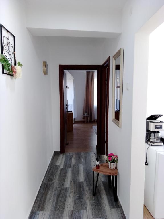 Kuchyň nebo kuchyňský kout v ubytování Casa Bocan