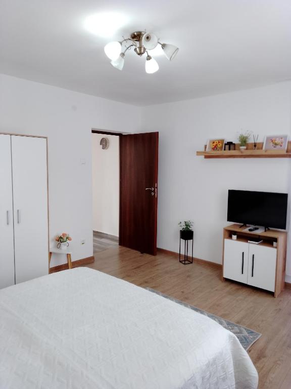 TV a/nebo společenská místnost v ubytování Casa Bocan