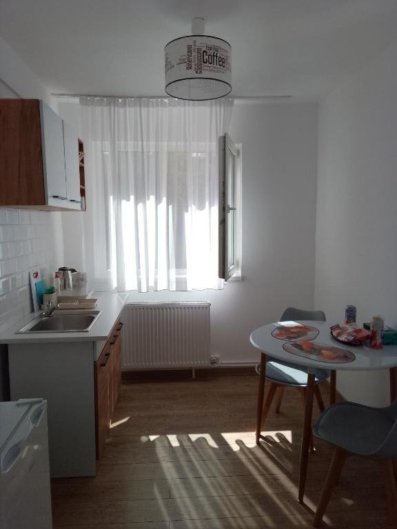 Kuchyň nebo kuchyňský kout v ubytování Casa Bocan