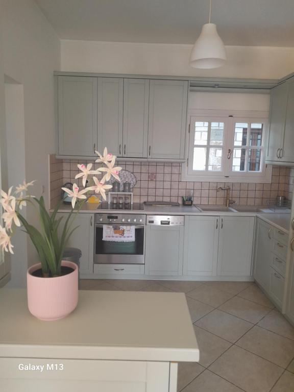 a kitchen with white cabinets and a plant in a pot at Ioannina Cozy Hill House in Pedini