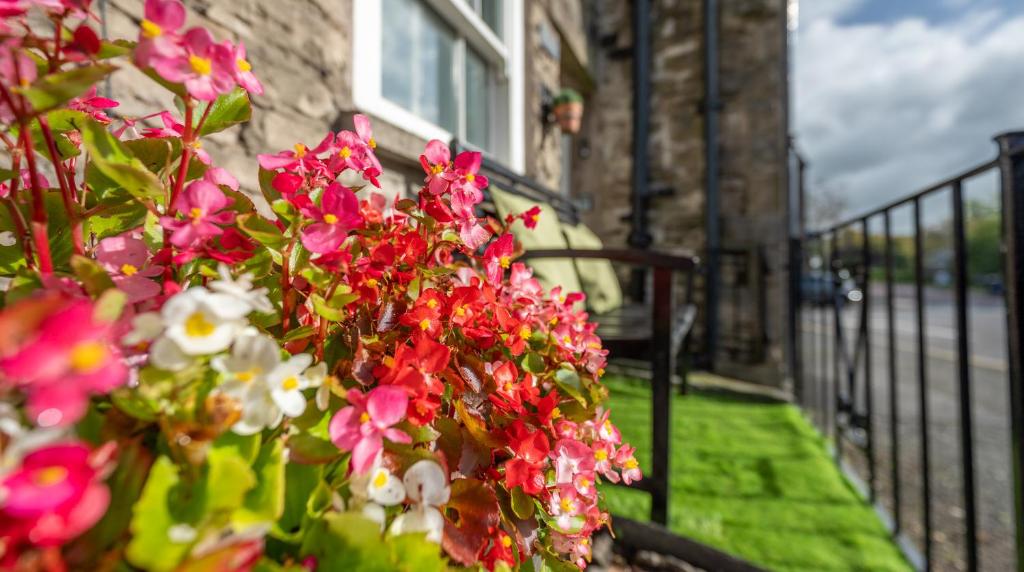 Zahrada ubytování Wee Toad Hole Heart of Kendal - Cottage sleeps 4-6 - Dogs Welcome