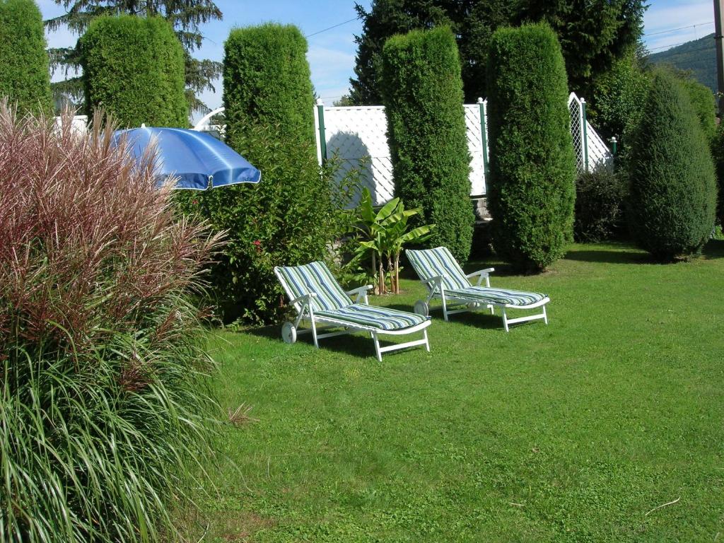 A garden outside Haus Thon