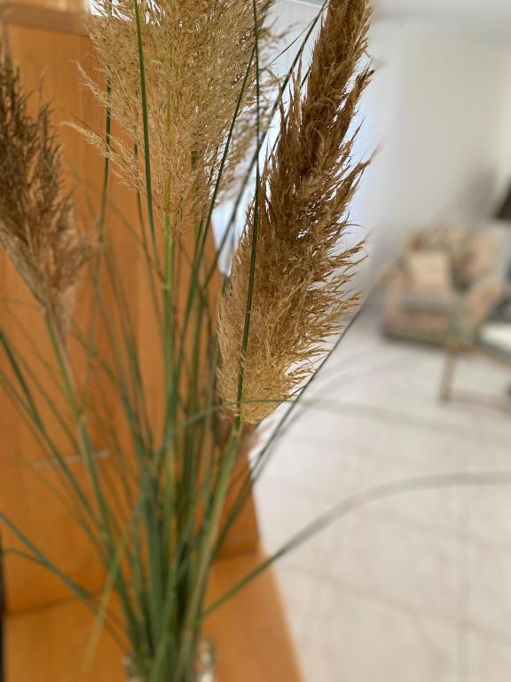 Posezení v ubytování Apartment Traumzeit