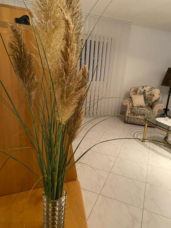 a vase with plants in a room with a chair at Apartment Traumzeit in Bad Neustadt an der Saale