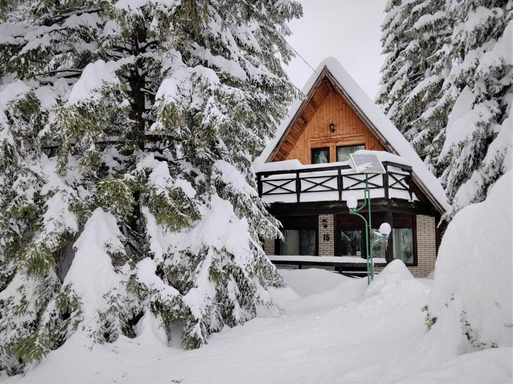 Traveland Boutique Resort Poiana Brasov - Resim 17