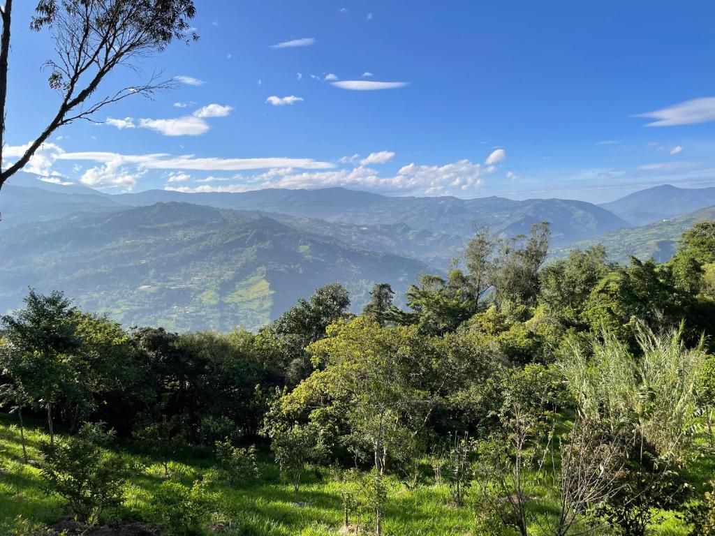 a view of the mountains from a hillside with trees at Refugio Explora Verde in Choachí