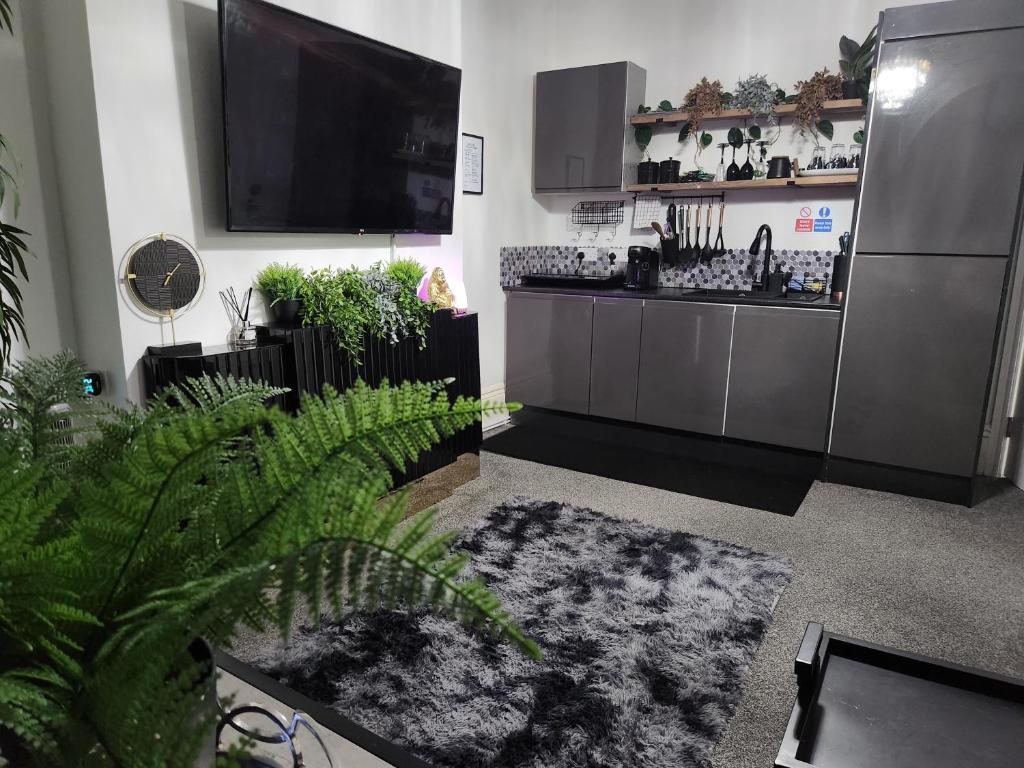 a living room with a flat screen tv and plants at Quantock Lodge Vicarage 2 in Rochester