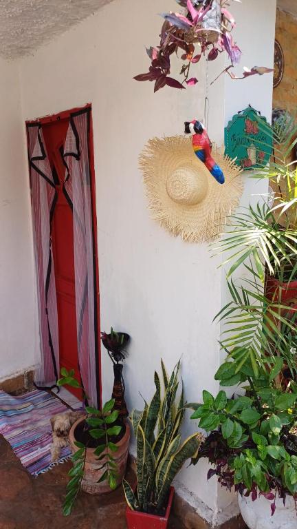 Zahrada ubytování La Petite Maison de Diana