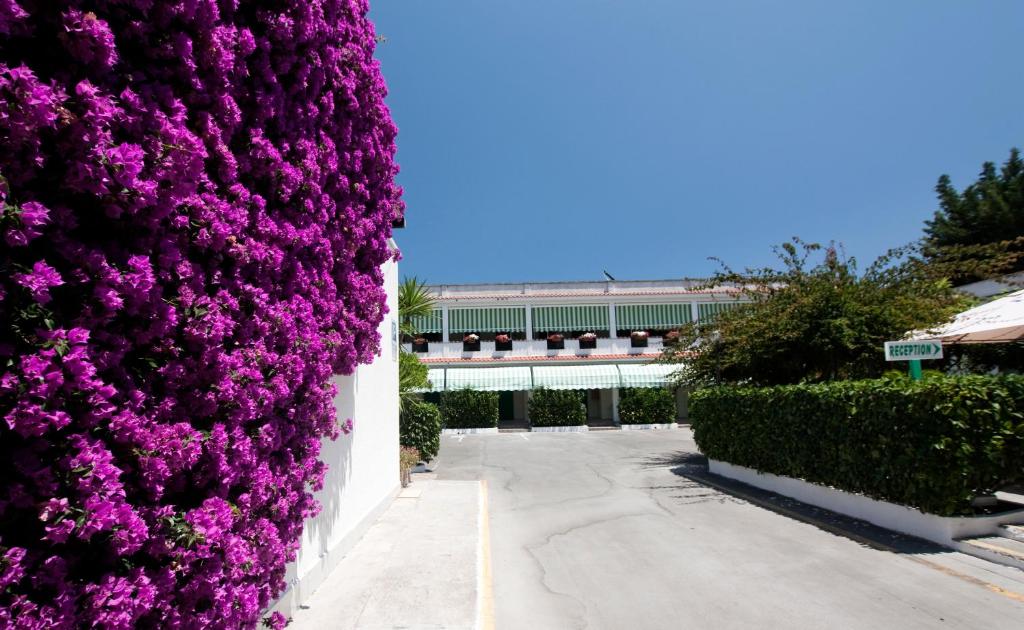 a wall covered in purple flowers next to a building at Hotel Residence Nemo in Brindisi