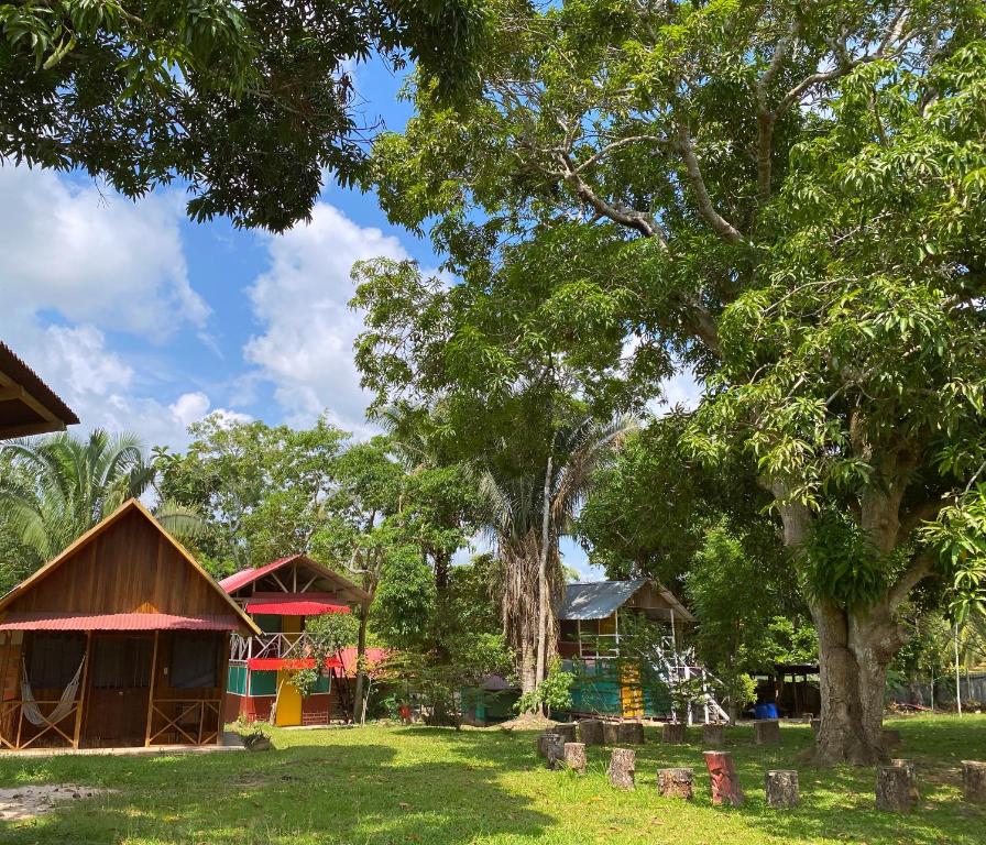 a group of houses in a park with trees at Chaikoni Lodge in Pucallpa