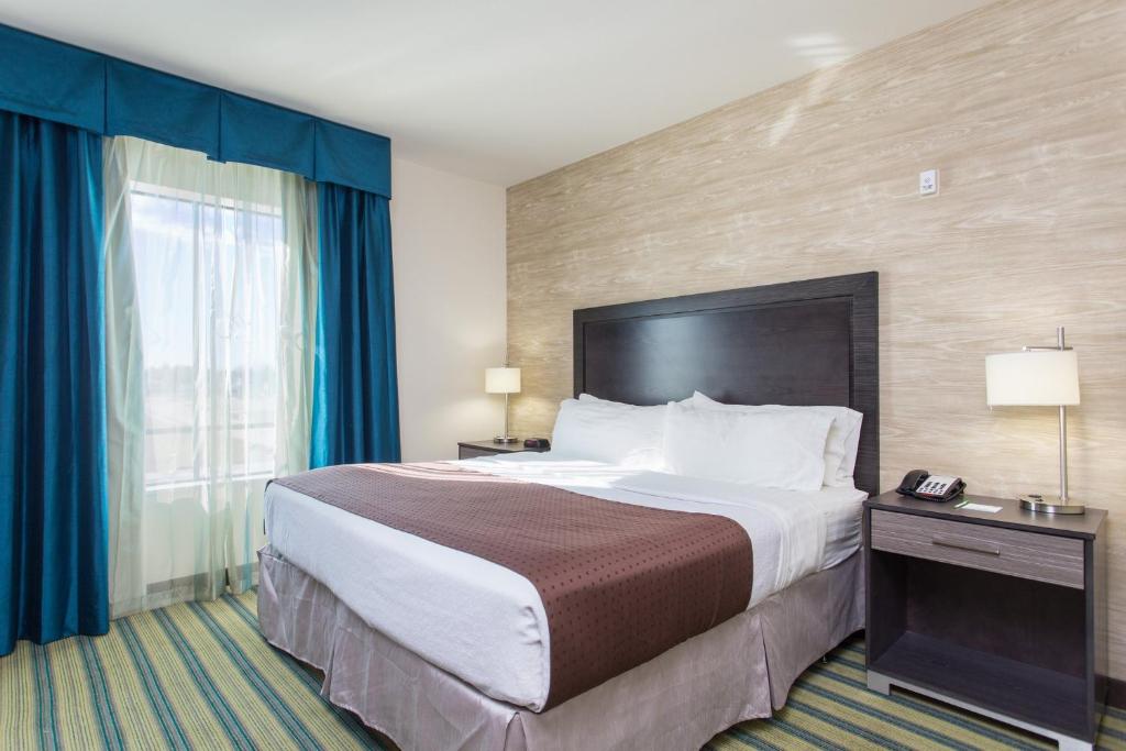 a hotel room with a large bed and a window at Holiday Inn Texarkana Arkansas Convention Center by IHG in Texarkana