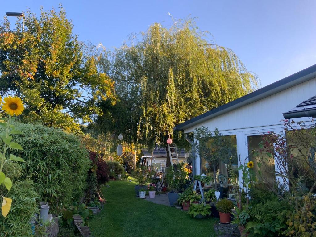 een tuin buiten een huis met bloemen en planten bij Villa Jani b&b in Breitscheid