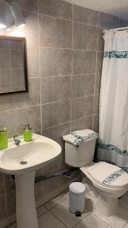 uma casa de banho com um lavatório, um WC e uma cortina de chuveiro. em Céntrico y amoblado en Arica em Arica