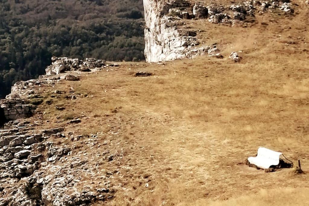 a group of animals laying on a mountain at petit nid montagnard in Rousset