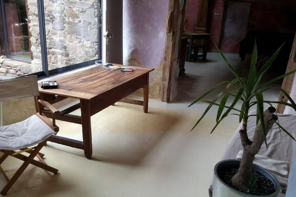 a wooden table in a room with a potted plant at Les papillons in Agnat