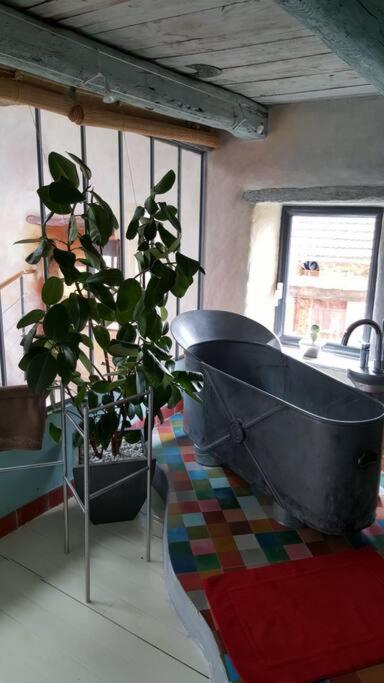a bathroom with a bath tub and a plant at Les papillons in Agnat