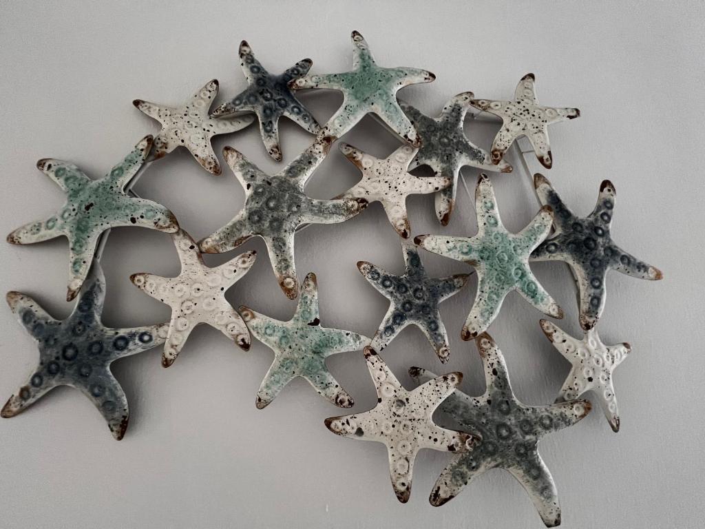 a group of starfish on a wall at Hotel Acquamarina in Portoferraio