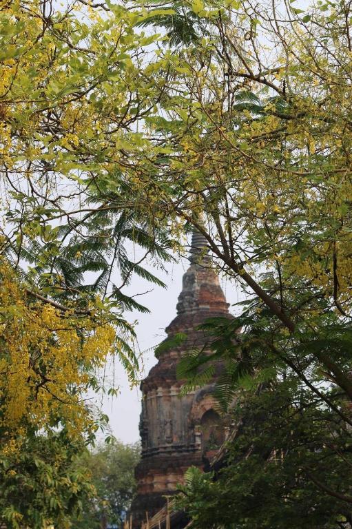 Icon Park Hotel, Chiang Mai- SHA Extra Plus - Resim 45