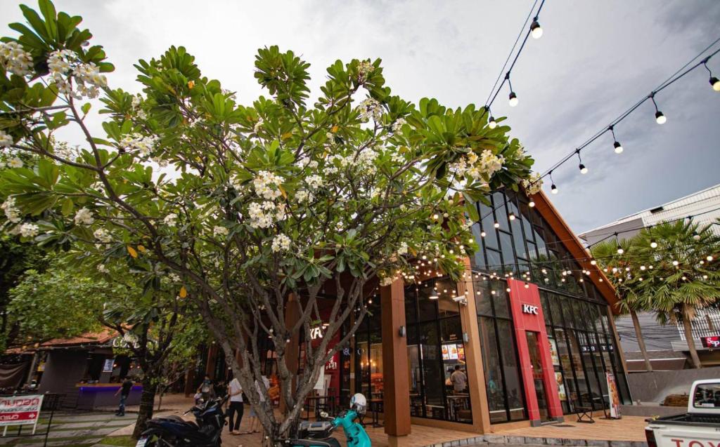 Icon Park Hotel, Chiang Mai- SHA Extra Plus - Resim 42