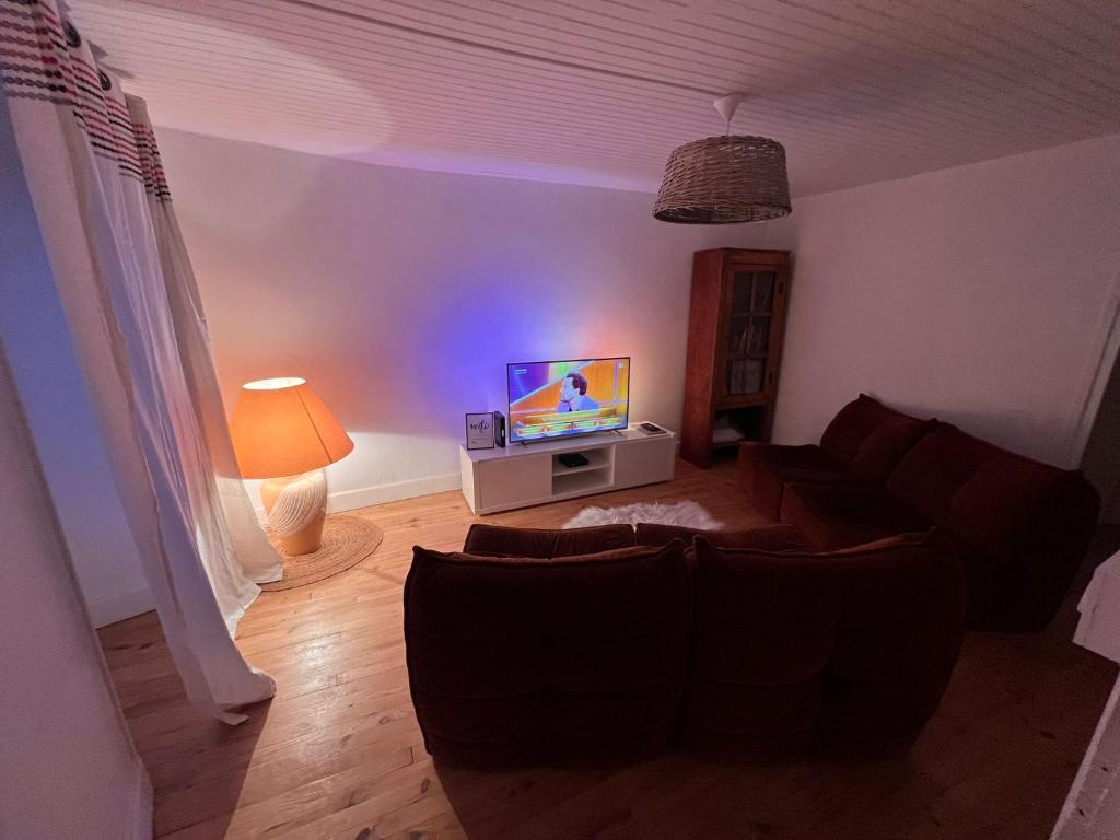 ein Wohnzimmer mit einem Sofa und einem TV in der Unterkunft Cottage viva la vida in Auzon