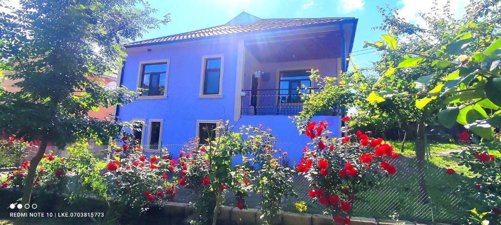una casa azul con flores rojas delante en Lerik Renthouse, en Lerik