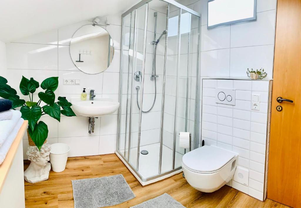 a bathroom with a shower and a toilet and a sink at Schöne, große Ferienwohnung direkt am Donauradweg & Keltenstadt Heuneburg in Herbertingen