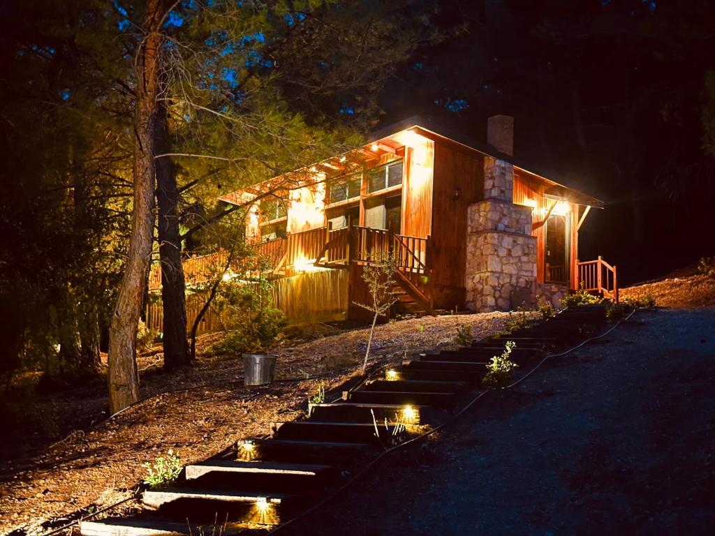 Panurla Ormanın İçinde, yüzme havuz&sauna