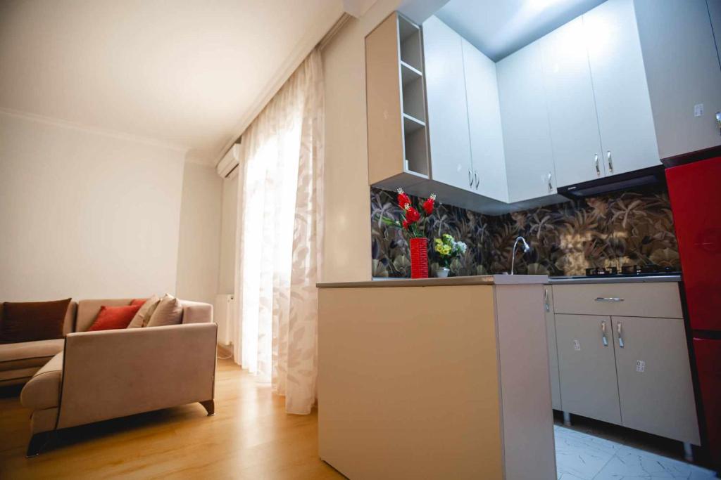 Kuchyň nebo kuchyňský kout v ubytování Apartment Kutaisi 248